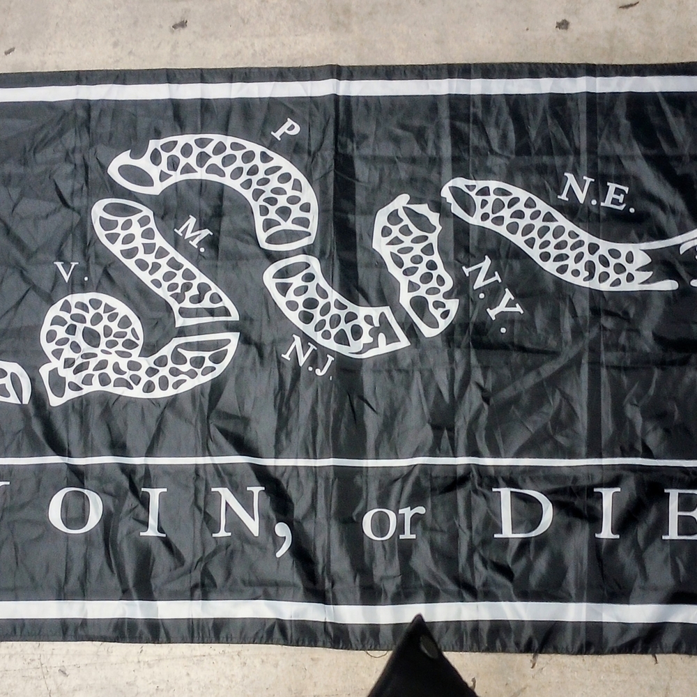Black and White Historical Snake Flag